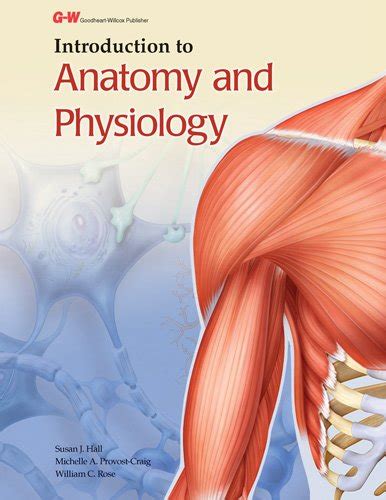 Introduction To Anatomy And Physiology Hall Susan J Provost Craig