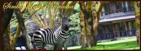 Lake Naivasha Simba Kenya Safari Lodges And Camps