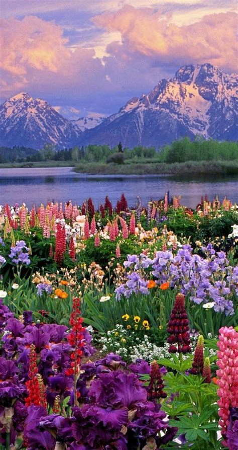 Wonderful Colors Of Spring Hd Nature Wallpaper