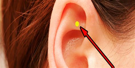 this is what happens when you massage this spot on your ear… the discover reality