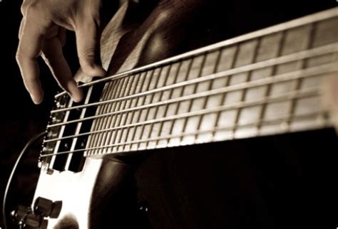 10 Interesting The Bass Guitar Facts My Interesting Facts