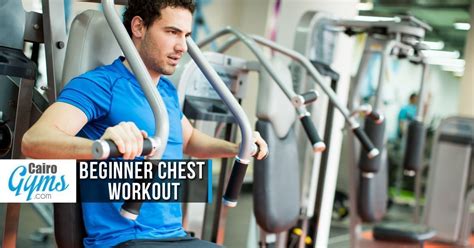 Beginner Chest Workout Cairo Gyms