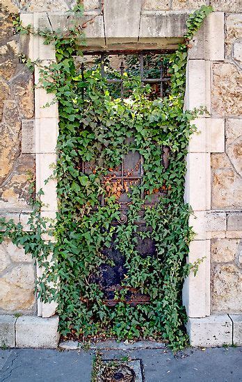 Covered In Ivy Ivy Outdoor Structures Doors
