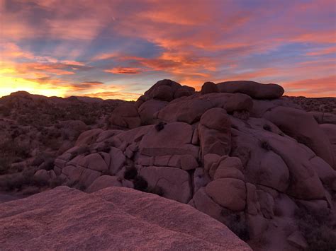 Joshua Tree Np Sunset At Jumbo Rocks Campground 11 4 18 Rnationalpark