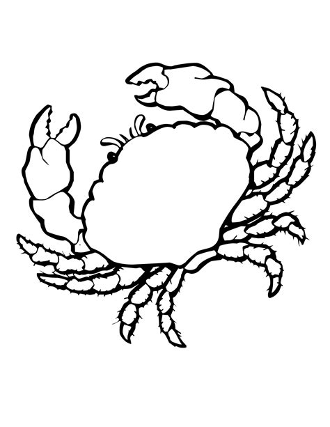 Coloriage Crabe Gratuit Imprimer