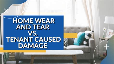 Home Wear Vs Tenant Damage Know The Difference