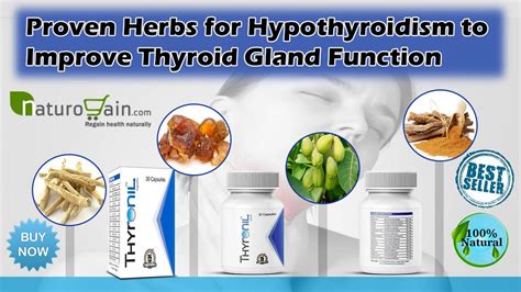 Proven Herbs For Hypothyroidism To Improve Thyroid Gland Function By