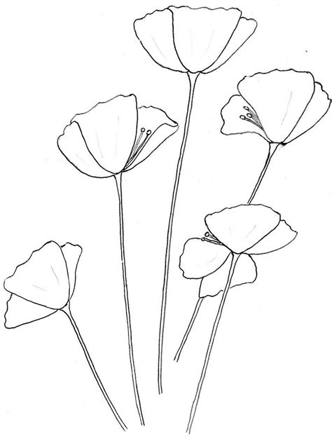 Pin By Colleen On Ink Flower Drawing Poppy Flower Drawing Poppy Drawing