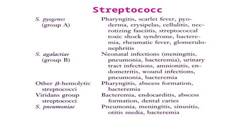 Streptococci Morphology And Identification Gram Positive Cocci Arranged In Chains Or Pairs