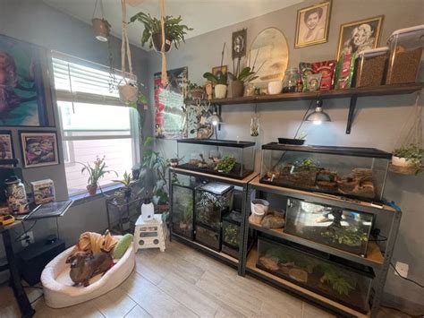 Reptile Room Reptile Room House Rooms Apartment Inspiration