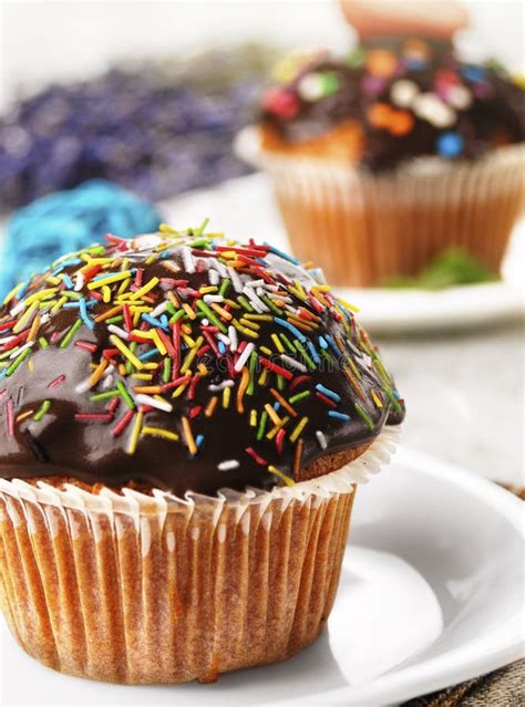 Chocolate Muffin With Sprinkles Stock Image Image Of Chocolate