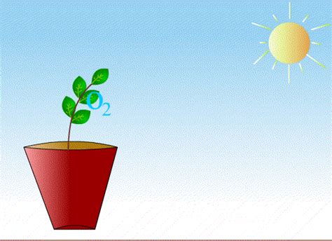  Plants Classroom Plantco2 Animated  On Er By Landalsa