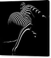 0773 AR Striped Zebra Woman Side View Abstract Black And White