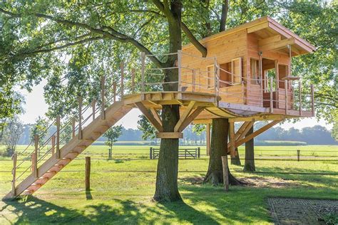 Summers Here — Let The Treehouse Adventures Commence Backyard