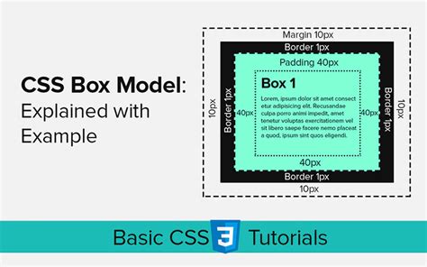 Css Box Model Explained With Example Webcodzing