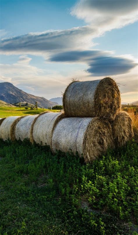 Bales Of Hay In The Field Photo Hdr Desktop Wallpapers 600x1024