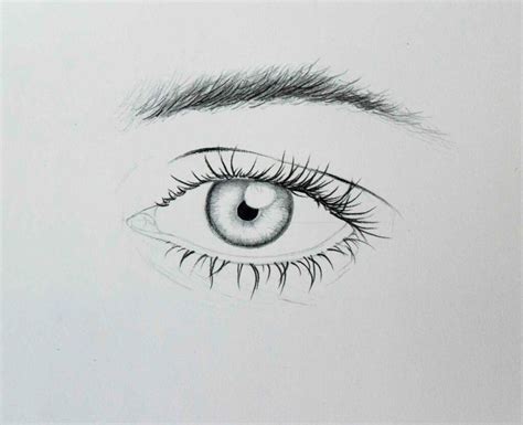 How To Draw Eyes For Beginners Unique Art Blogs