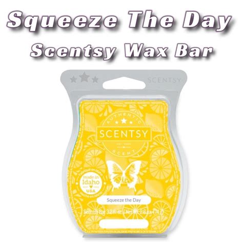 Squeeze The Day Scentsy Bar Tanya Charette