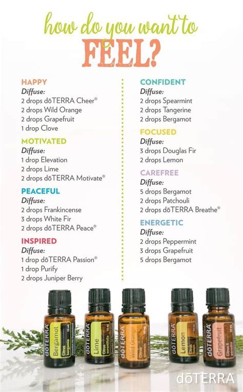 Doterra Diffuser Blends For Stress Essential Oils Aromatherapy Terra