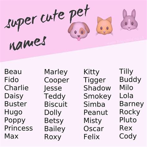 22 Cute Dog And Cat Names Ideas Peepsburghcom