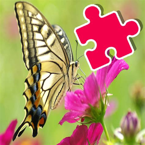 Kids Jigsaw Puzzles For Kids Butterfly Game