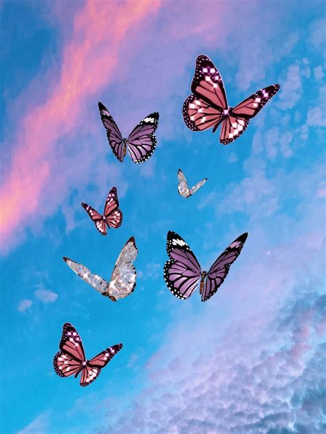 Butterfly At Sunset Wallpapers Wallpaper Cave