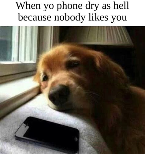Sad Doggo Meme Subido Por Ukgtr Memedroid