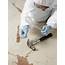 Forensic Evidence  Stock Image H200/0375 Science Photo Library