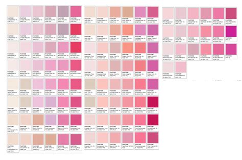 Pinks Pantone Pink Pink Color Chart Pantone Pink Shades