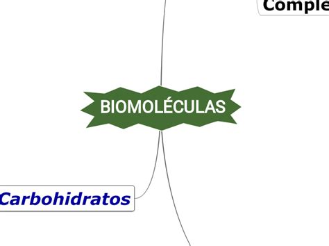 BiomolÉculas Mapa Mental