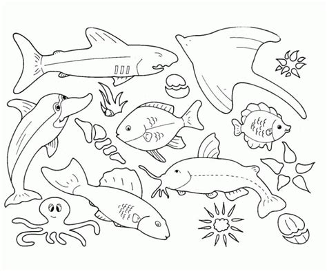 Printable Ocean Animals Coloring Page Free Printable Coloring Pages
