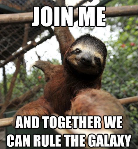 12 Sloth Memes Ideas Sloth Sloth Meme Sloths Funny