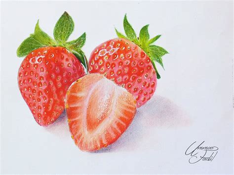 Drawing Fruits 3 Strawberries Colored Pencils By F A D I L