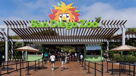 Build The Perfect One Day San Diego Zoo Itinerary