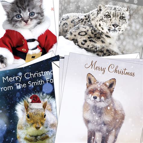 Our ranges include the wildlife trusts, the lost gardens of heligan, art, photographic, and occasions cards, notecards, christmas cards and calendars. Christmas Cards Animals Pack of 10 - D&L Designs