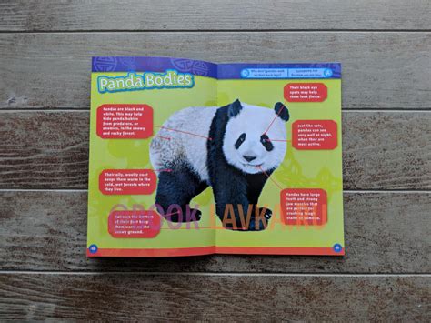 National Geographic Kids Pandas Booklavka Буклавка