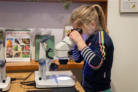 Bezoek Park De Hoge Veluwe In De Kerstvakantie En Kom Uilenballen Pluizen Ontdek En Leer