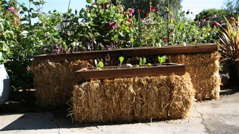Building A Straw Bale Garden