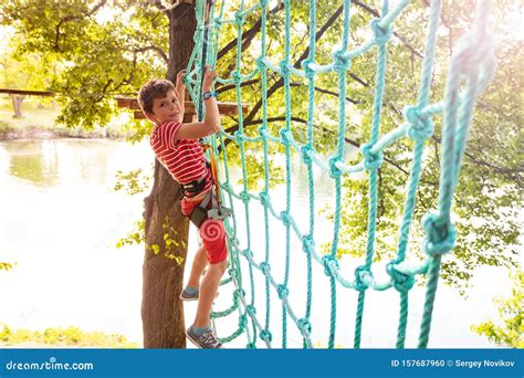 Boy Climbing Net High On Tree At Adventure Park Stock Photo Image Of