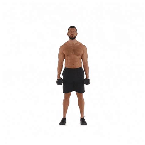 Shoulder Workout Best Shoulder Exercises For Shoulder Muscles