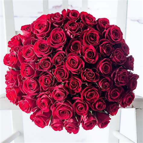 4,328 free images of bouquet of roses. 50 Red Roses | Stunning 50 Red Rose Bouquet | Appleyard ...
