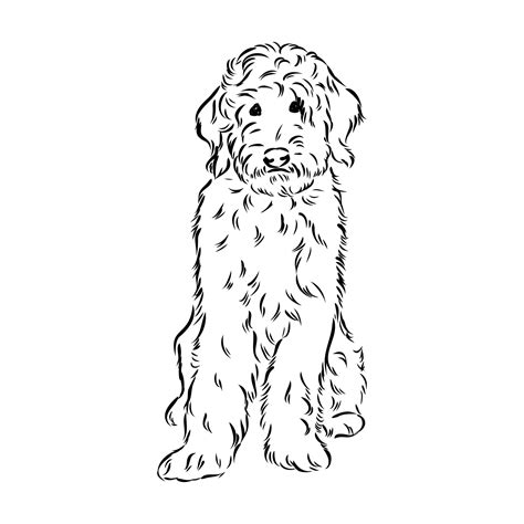 Goldendoodle Coloring Pages Coloring Home