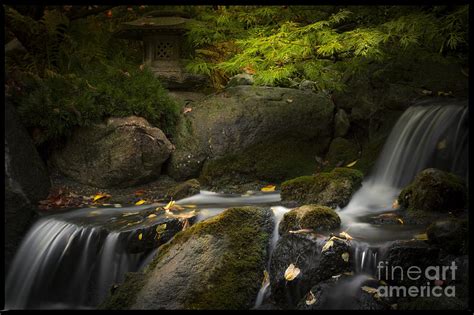Waterfalls Anderson Japanese Gardens Photograph By Rudy Viereckl Fine