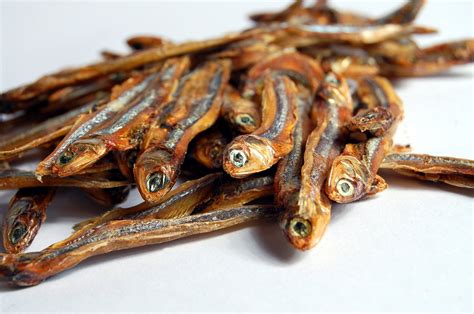 Dry Anchovy Fish Free Photo Download Freeimages