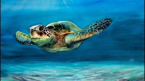 Watercolor Sea Turtle Painting Demonstration Youtube Sea Turtle