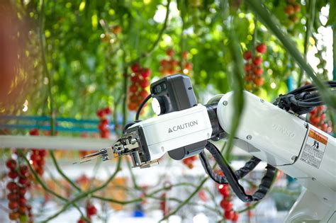 Certhon Harvest Robot 2 Vegetable Growers News