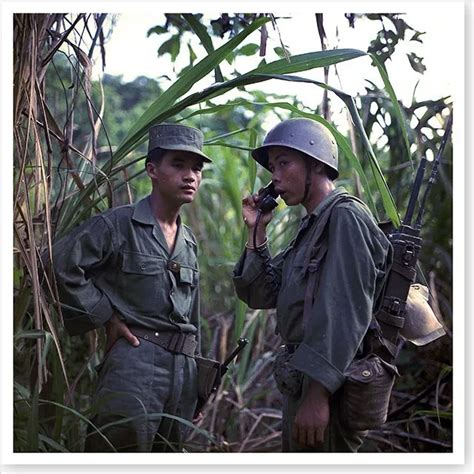 Vietnam War Vietnamese Army Personnel Training In The Jungle Silver