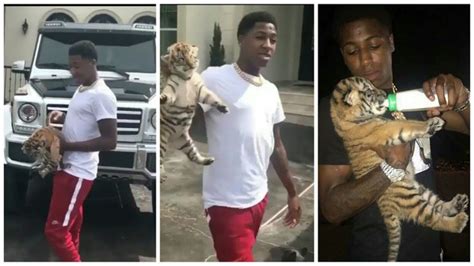 Police Take Away Rapper Nba Youngboys Tiger Due To Neglect