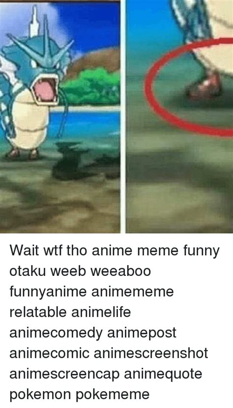 Wait Wtf Tho Anime Meme Funny Otaku Weeb Weeaboo Funnyanime Animememe