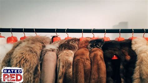 San Francisco Is Now The First Major U S City To Ban The Sale Of Fur YouTube